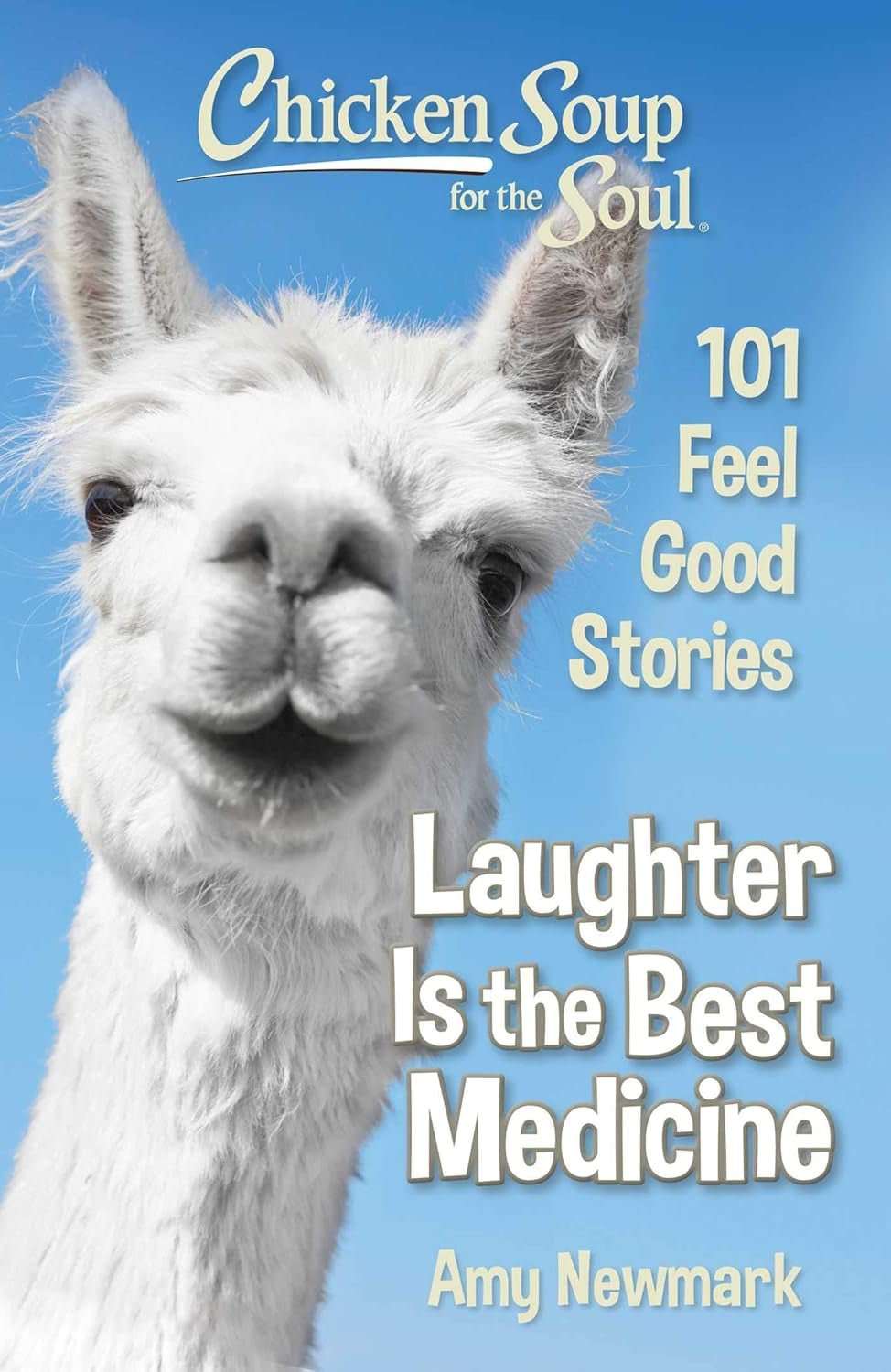 WELLTH HOUSE Chicken Soup Laughter Best Medicine - Wellth House