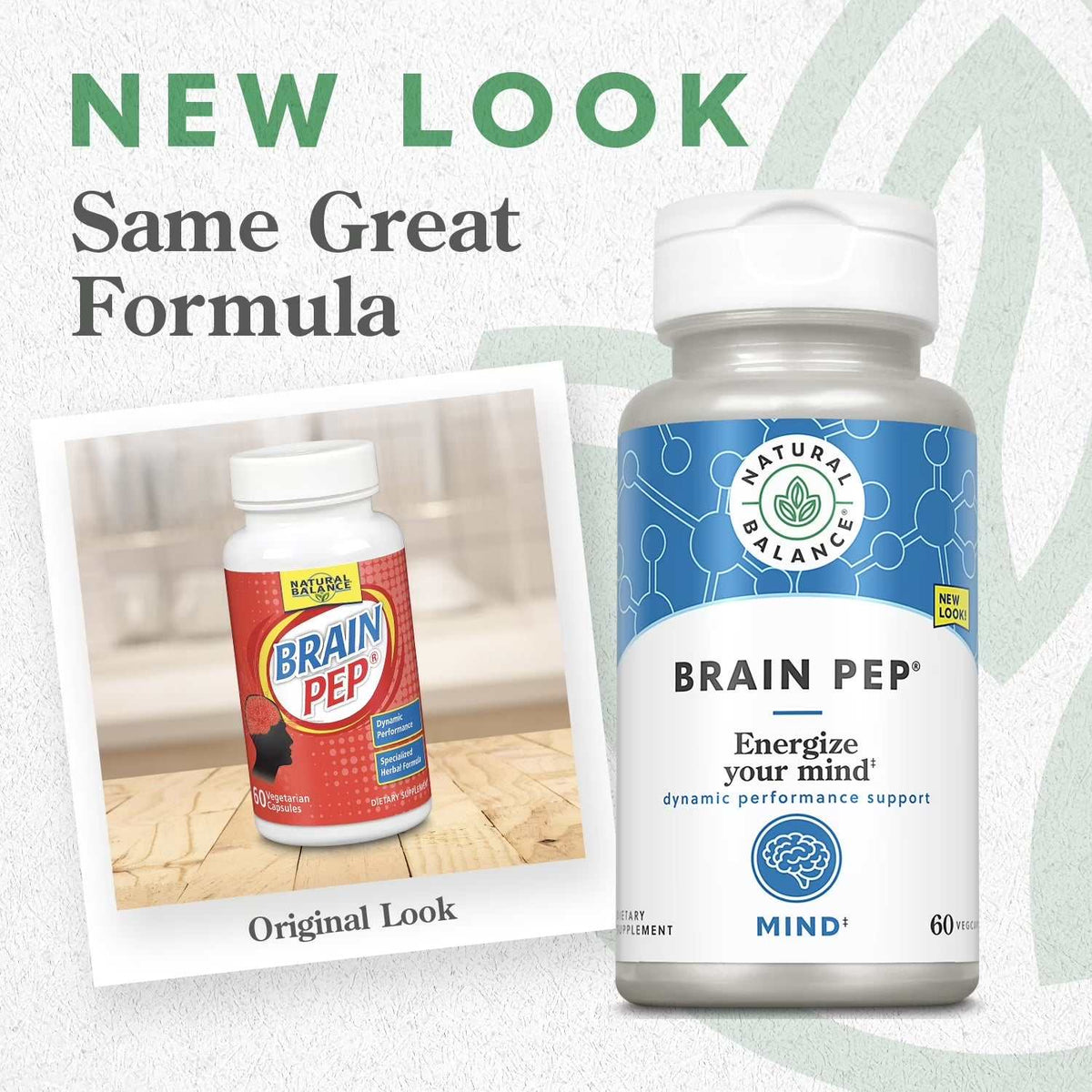 WELLTH HOUSE Brain Function Supplement Capsules - Wellth House