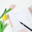 WELLTH HOUSE Prayer Book Full English Prayer Journal - Wellth House