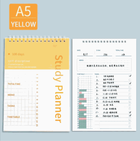 WELLTH HOUSE 100-Day Self Discipline Planner - Wellth House