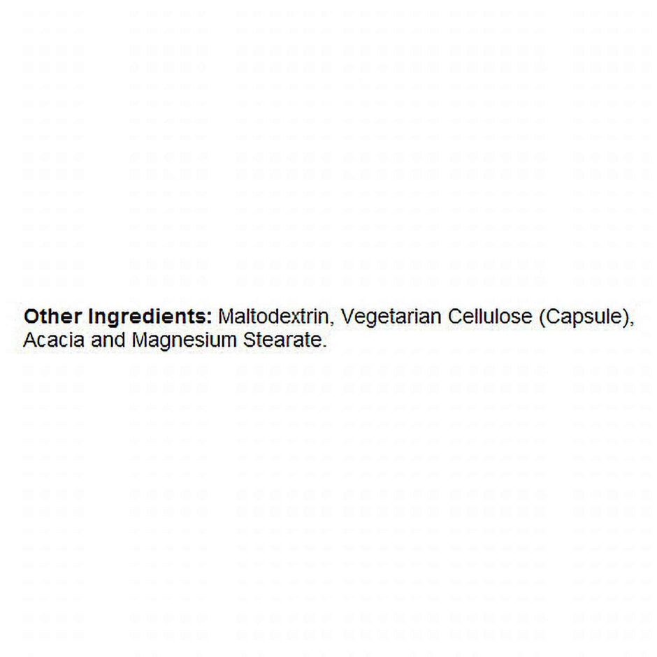 WELLTH HOUSE Brain Function Supplement Capsules - Wellth House