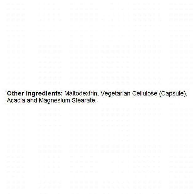WELLTH HOUSE Brain Function Supplement Capsules - Wellth House