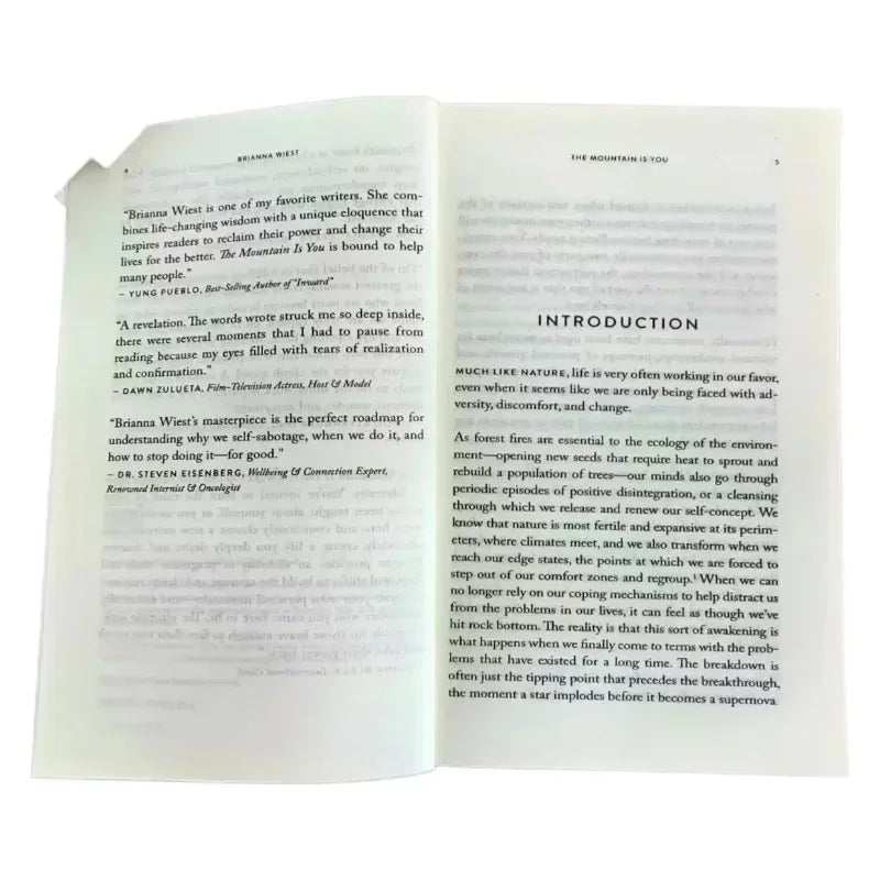 WELLTH HOUSE The Mountain Is You Self Mastery Book - Wellth House