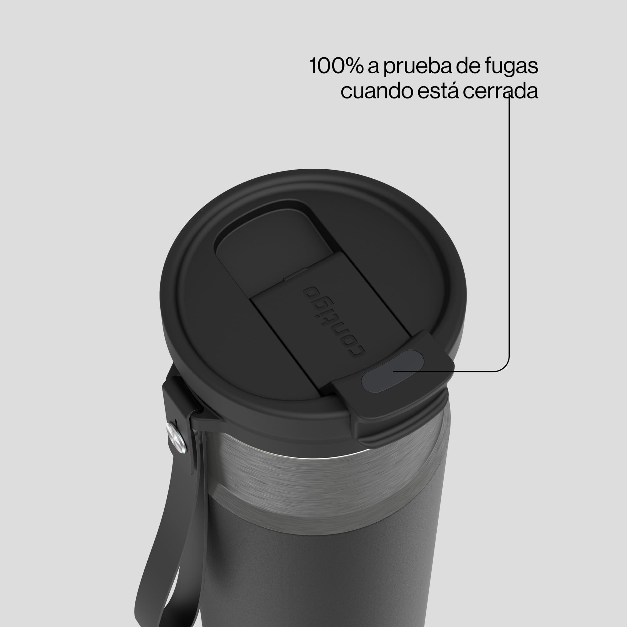 Contigo DualSip 24 oz Stainless Steel Vacuum-Insulated Water Bottle with Carry Strap & 2-in-1 Leakproof Lid (Straw or Spout), BPA-Free & Lead-Free, Dishwasher Safe