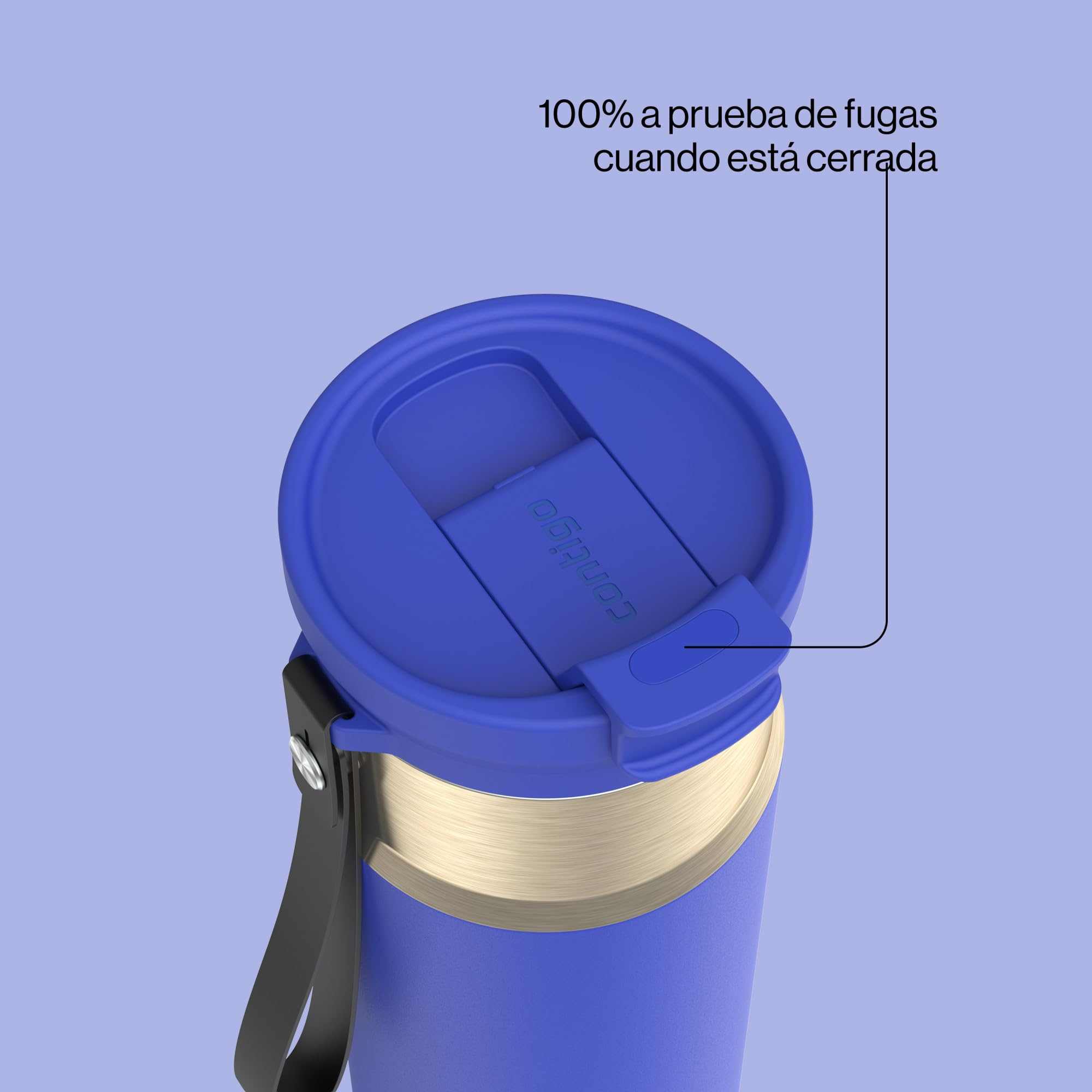 WELLTH HOUSE DualSip Stainless Steel Water Bottle - Wellth House