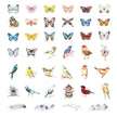 WELLTH HOUSE Creative Butterfly Sticker Diary Book - Wellth House