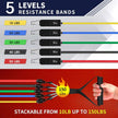 WELLTH HOUSE Resistance Bands with Handles Set - Wellth House