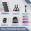 WELLTH HOUSE Resistance Bands with Handles Set - Wellth House