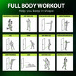 WELLTH HOUSE Resistance Bands with Handles Set - Wellth House