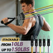 WELLTH HOUSE Resistance Bands with Handles Set - Wellth House