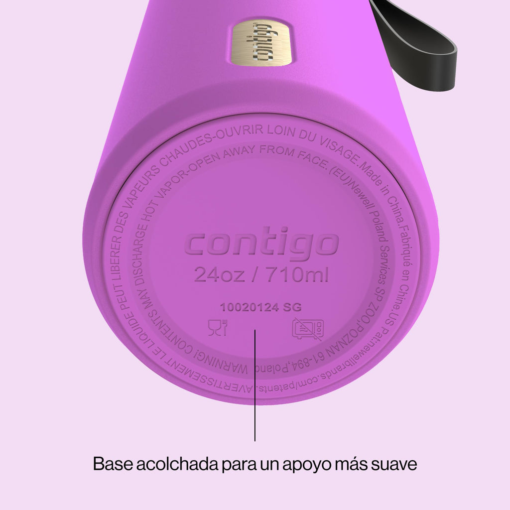 Contigo DualSip 24 oz Stainless Steel Vacuum-Insulated Water Bottle with Carry Strap & 2-in-1 Leakproof Lid (Straw or Spout), BPA-Free & Lead-Free, Dishwasher Safe