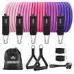 WELLTH HOUSE Resistance Bands with Handles Set - Wellth House