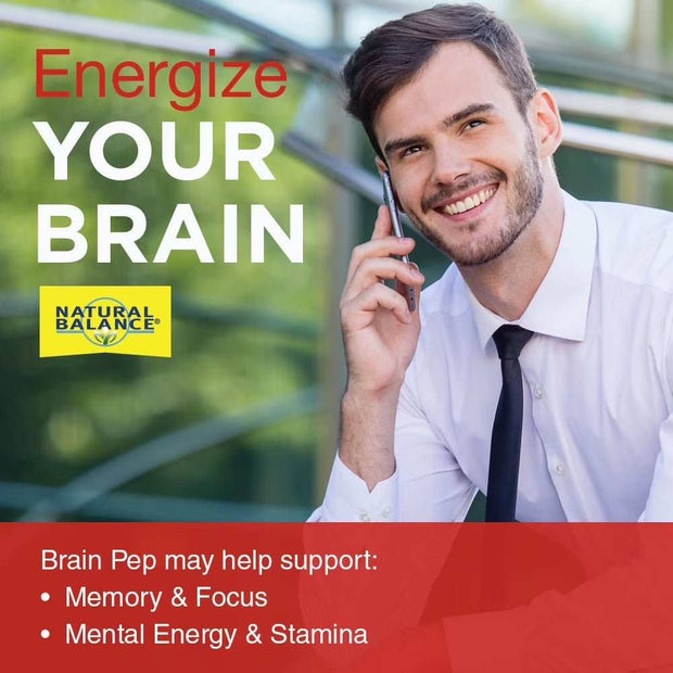 WELLTH HOUSE Brain Function Supplement Capsules - Wellth House