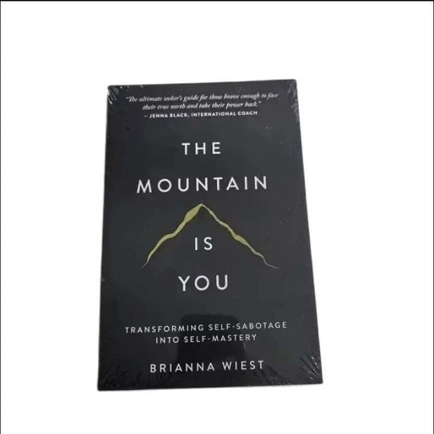 WELLTH HOUSE The Mountain Is You Self Mastery Book - Wellth House