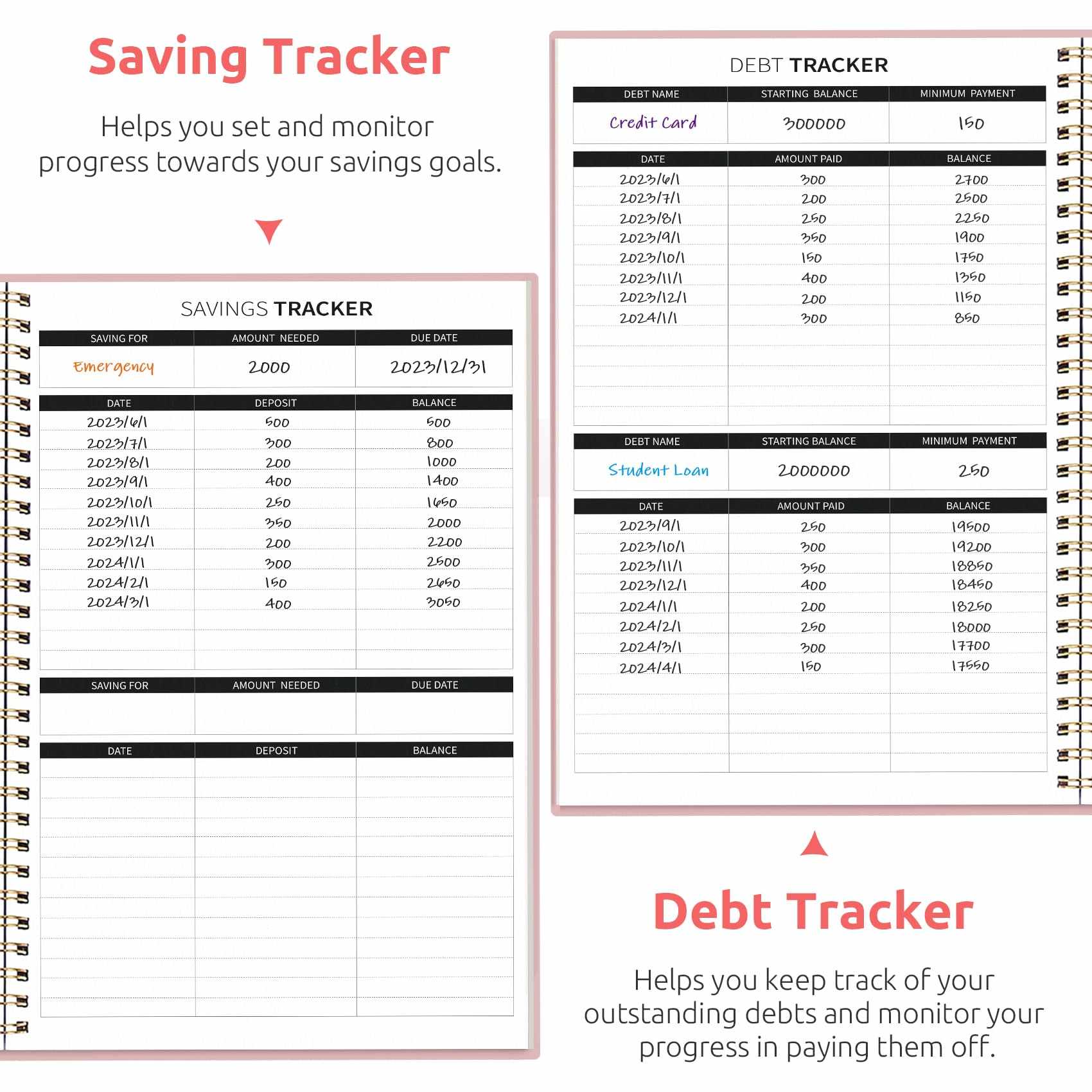 WELLTH HOUSE Budget Planner Expense Tracker Book - Wellth House