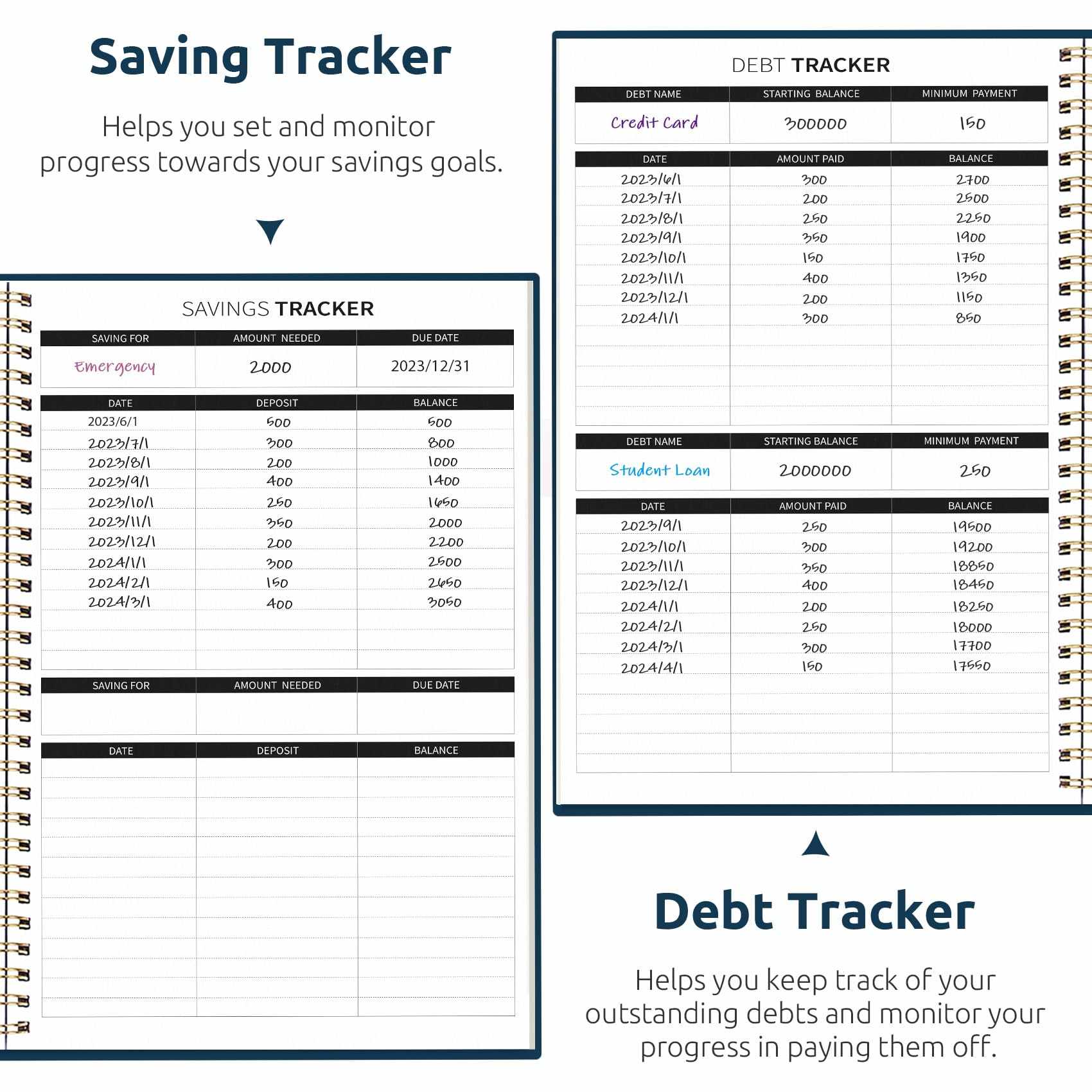 WELLTH HOUSE Budget Planner Expense Tracker Book - Wellth House