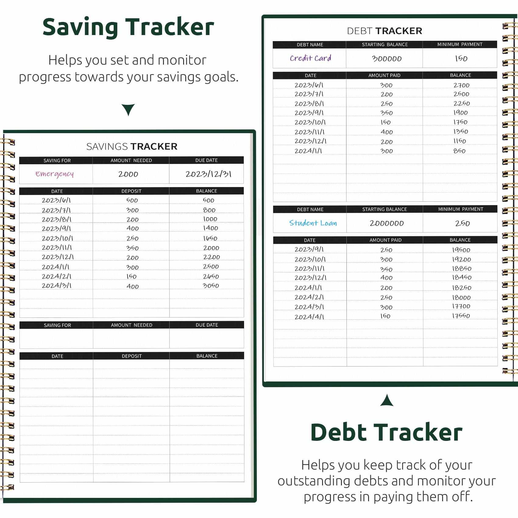 WELLTH HOUSE Budget Planner Expense Tracker Book - Wellth House