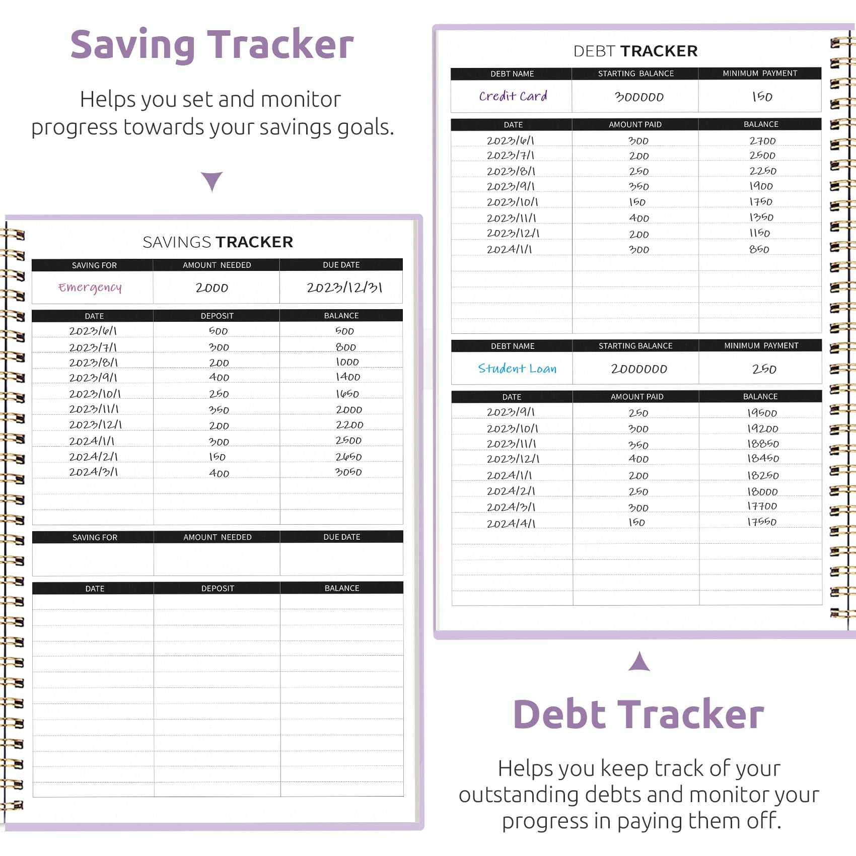 WELLTH HOUSE Budget Planner Expense Tracker Book - Wellth House