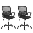 WELLTH HOUSE Drusilla Ergonomic Mesh Task Chair - Wellth House