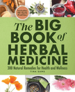 WELLTH HOUSE Big Book of Herbal Medicine - Wellth House