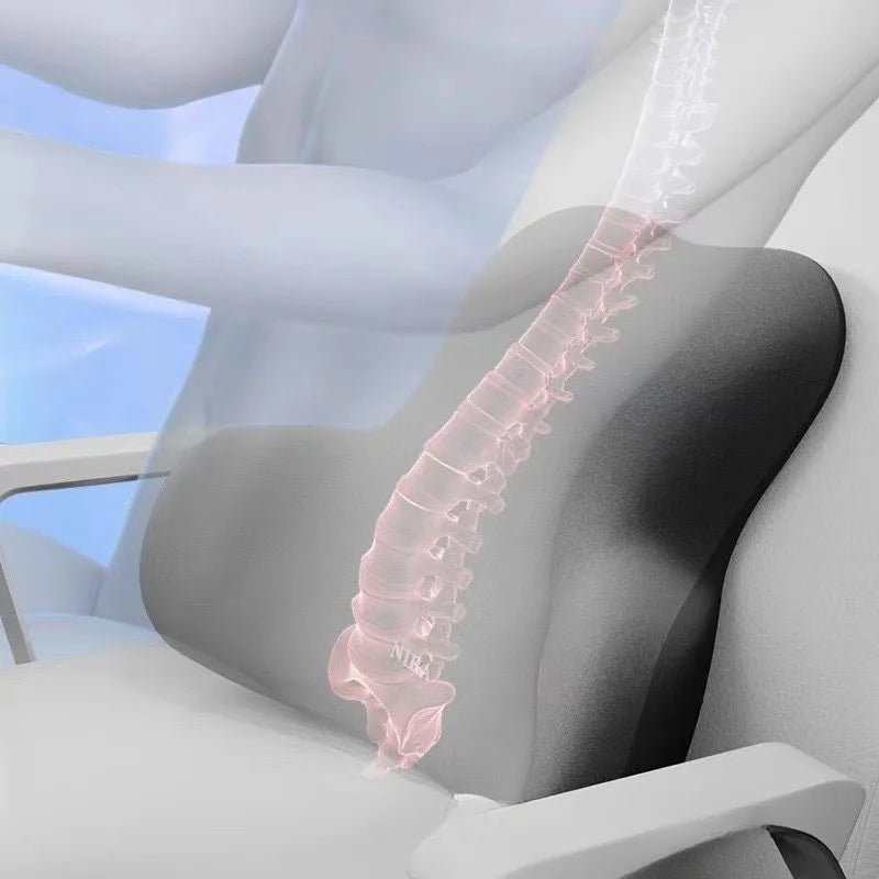 WELLTH HOUSE Office Lumbar Cushion Back Pillow - Wellth House