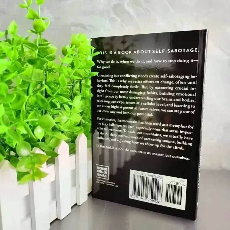 WELLTH HOUSE The Mountain Is You Self Mastery Book - Wellth House