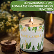 WELLTH HOUSE Sage Crystal Scented Candle Gift Set - Wellth House