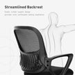 WELLTH HOUSE Drusilla Ergonomic Mesh Task Chair - Wellth House